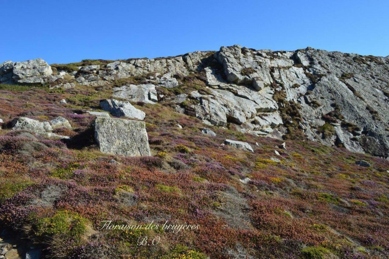 Le Clos Des Agapanthes Plogonnec Exteriör bild